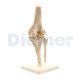 Classic Knee Joint